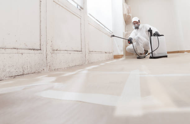 24/7 Emergency Mold Inspection experts in Montclair, VA