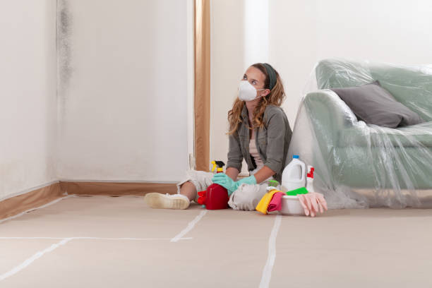 Reliable Mold Cleanup contractor in Montclair, VA by Cheap Mold Removal
