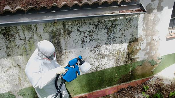 Trusted Mold Inspection service in Montclair, VA - Cheap Mold Removal